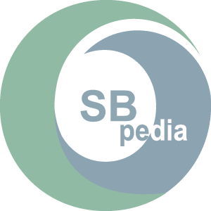 Yunus Social Business Fund Bengaluru